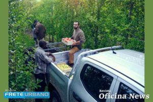 Peugeot Landtrek: picape de até 1,2 toneladas